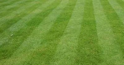 stripes in a lawn from mowing
