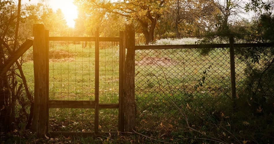 gate to the backyard or garden