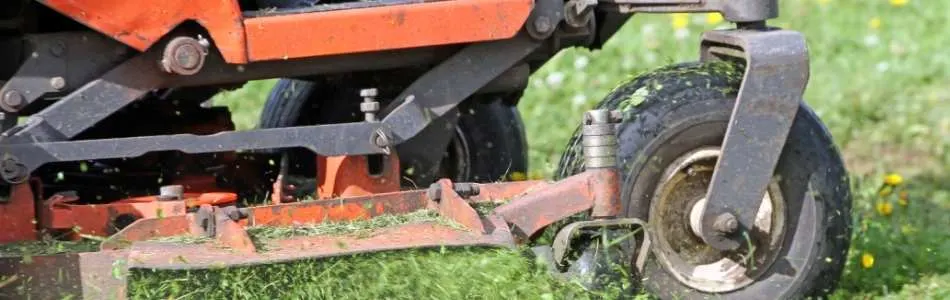 zero turn mower cutting grass