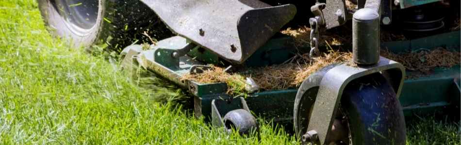 mower deck cutting grass