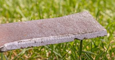 Dull mower blade with chips in the cutting edge