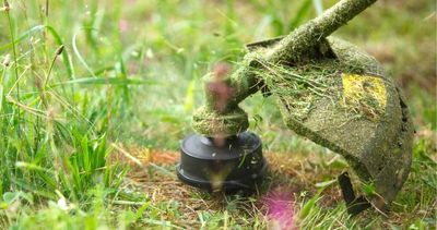 How to service a string trimmer