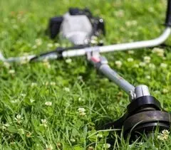 String trimmer quits