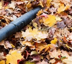 Leaf Blower on a pile of leaves