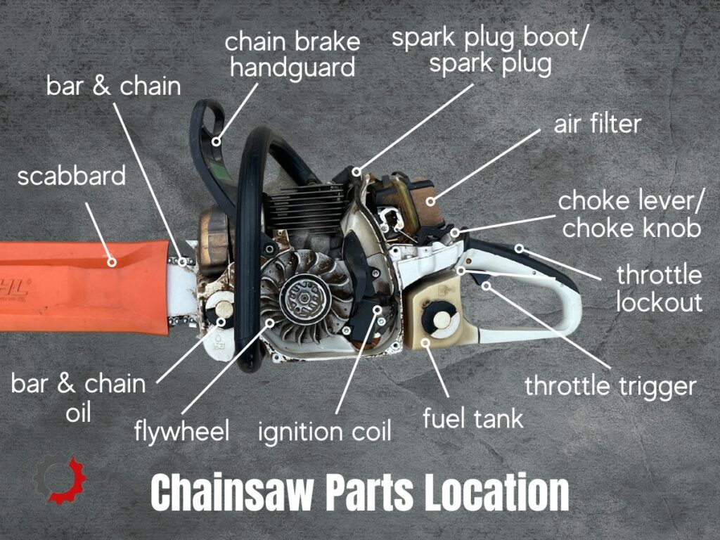 Location of parts on a chainsaw