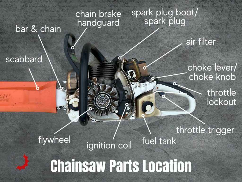 Where to find parts on a STIHL chainsaw